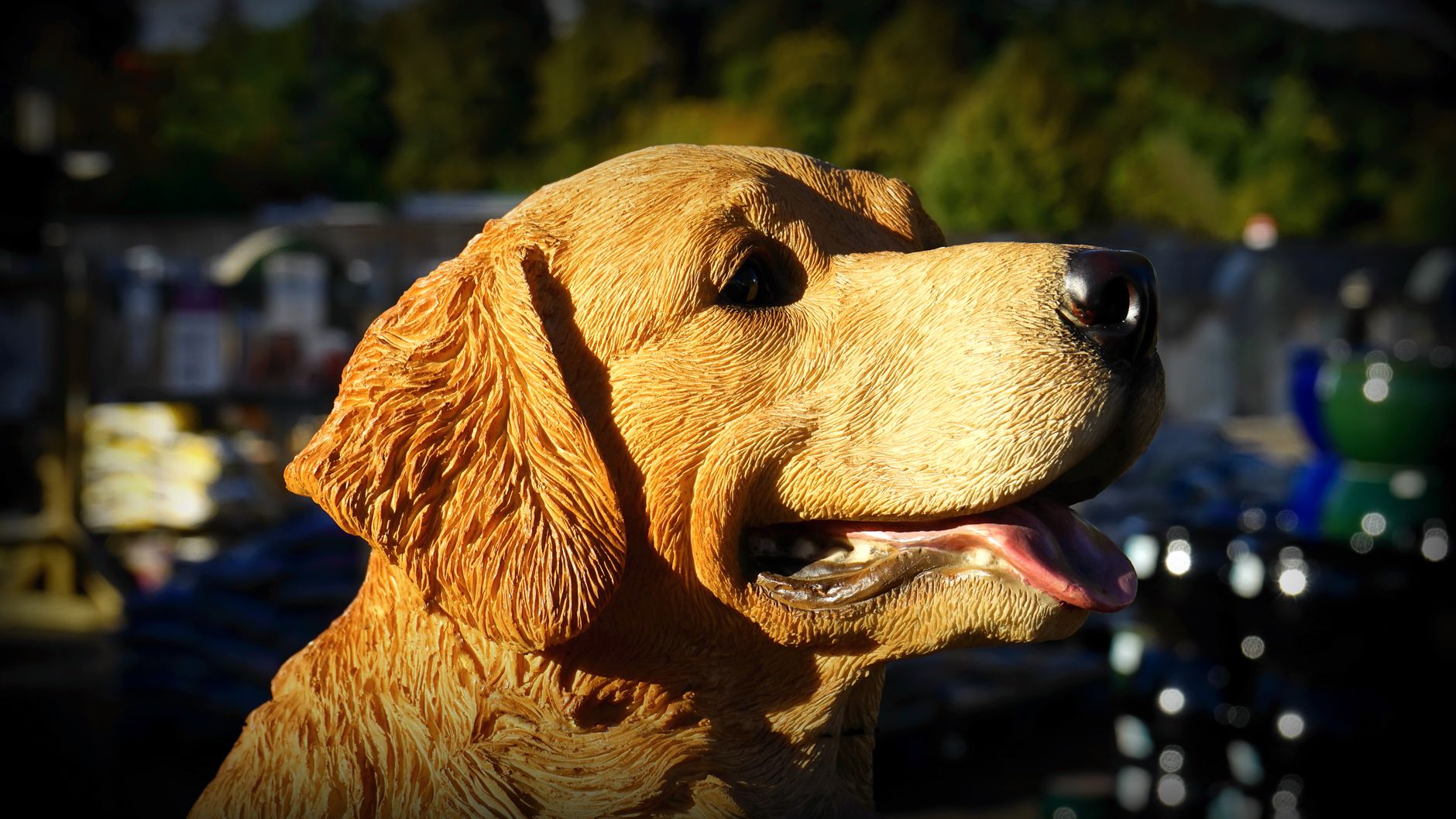 Golden Retriever Exercise: How Much Does Your Dog Need?