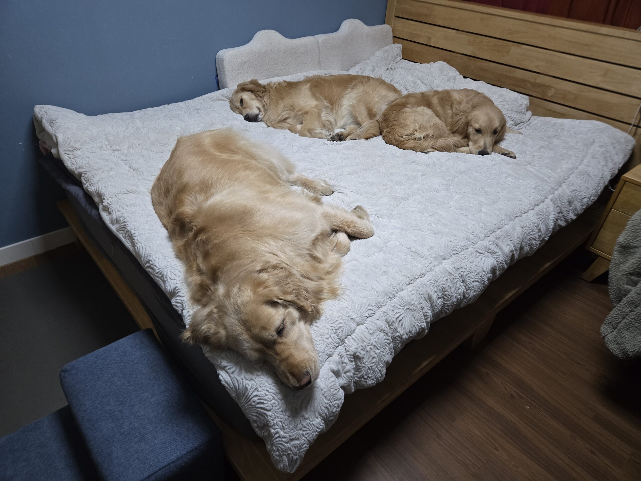 Bada, Haneul and Noeul napping together
